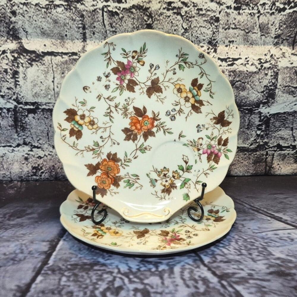 Vintage Royal Doulton Set of Two Plates Autumn Glory EW-1630-C